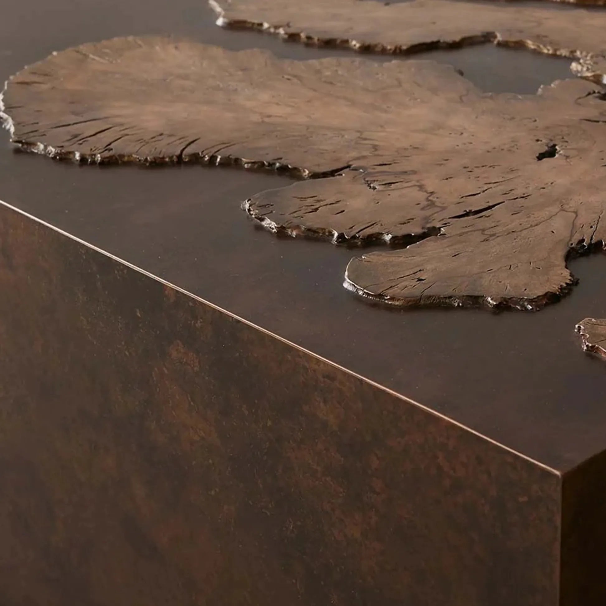 Obra Salvaged Burl Coffee Table Living Room Steel Base Cocktail Table Wood Center Tea Table