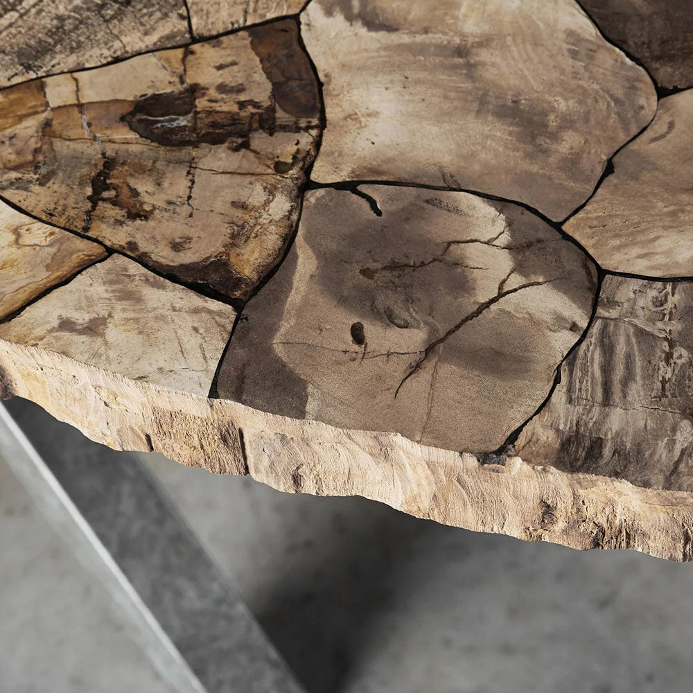 Petra Rectangle Dining Table marble & Petrified Wood Top with Iron Base