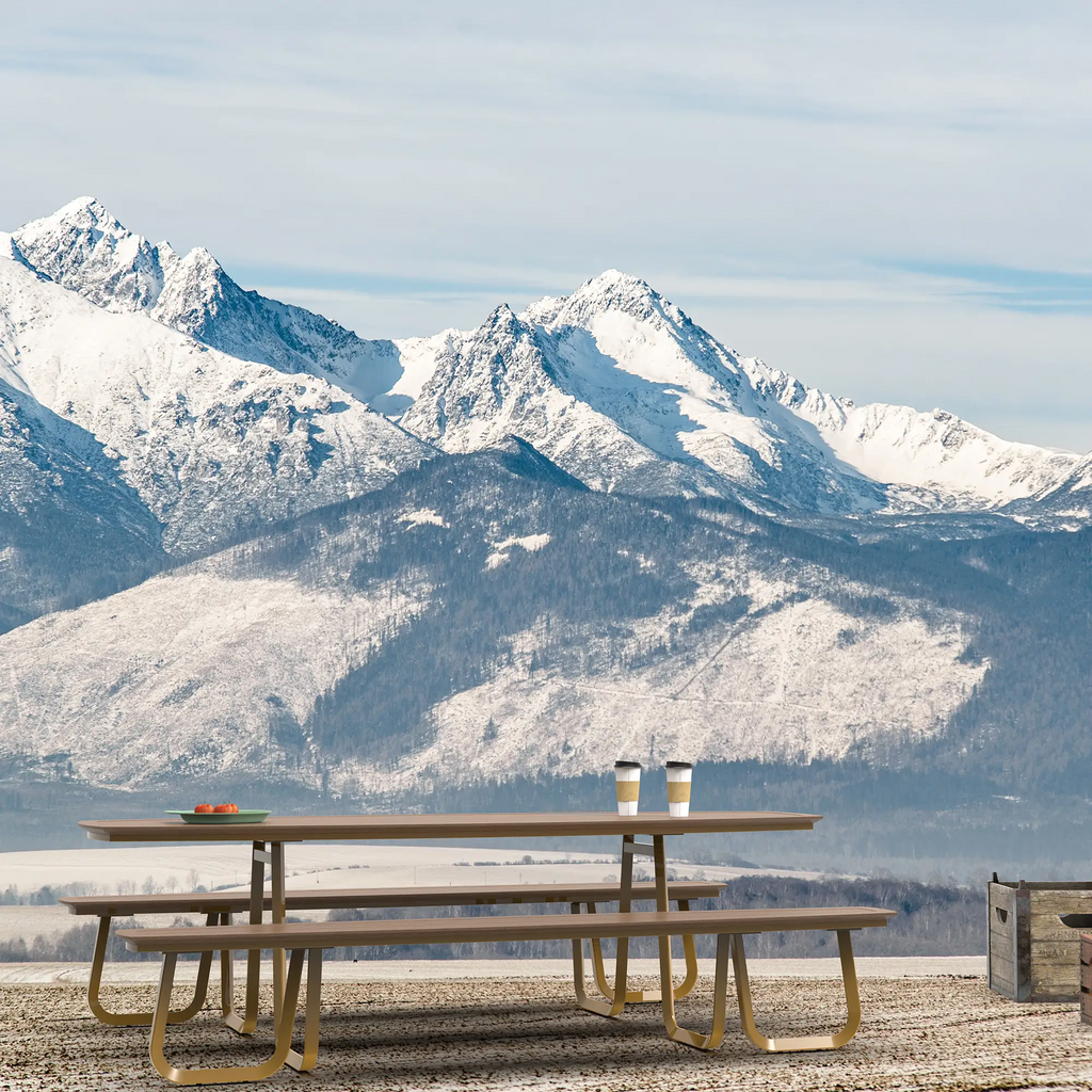 Monument Aluminum Outdoor Picnic Table with Teak Top